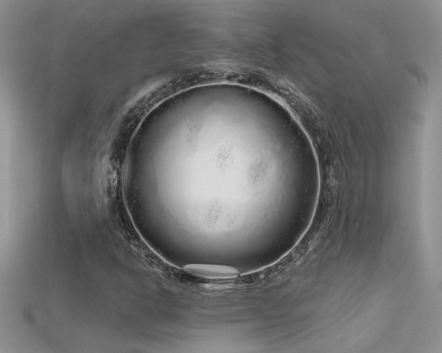 X0000115691302200911121259