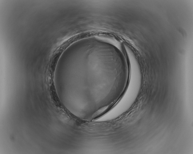 X0000115691303200911121259