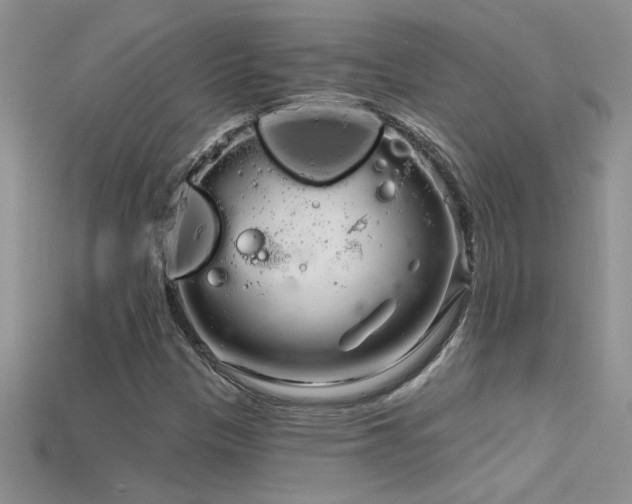 X0000115691305200911121259