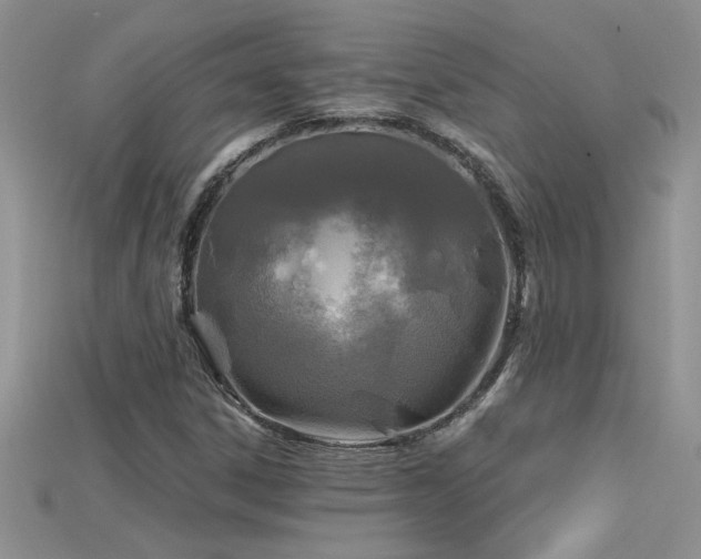 X0000115691306200911121259