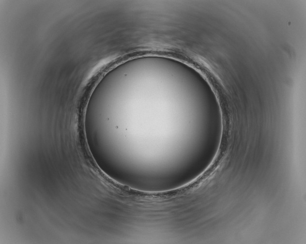 X0000115691307200911121259