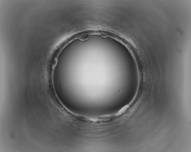 X0000115691311200911121259