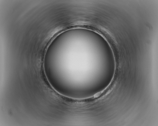 X0000115691313200911121259