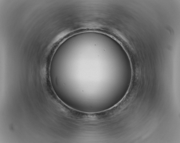 X0000115691315200911121259