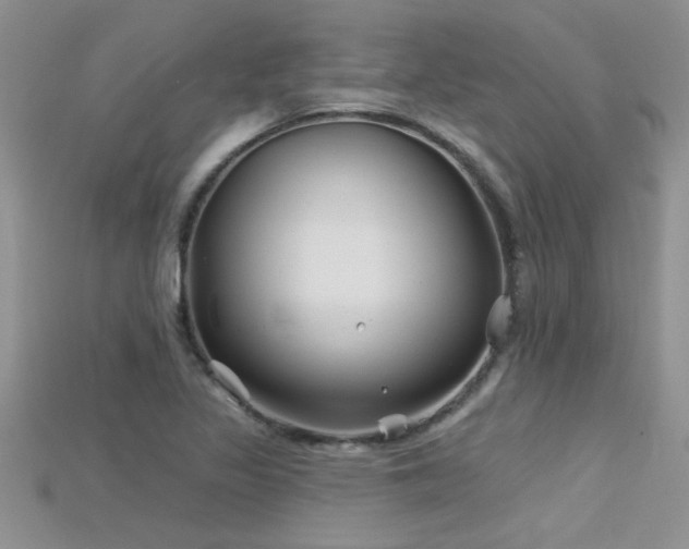 X0000115691317200911121259