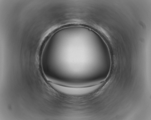 X0000115691318200911121259