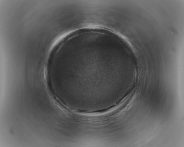 X0000115691319200911121259
