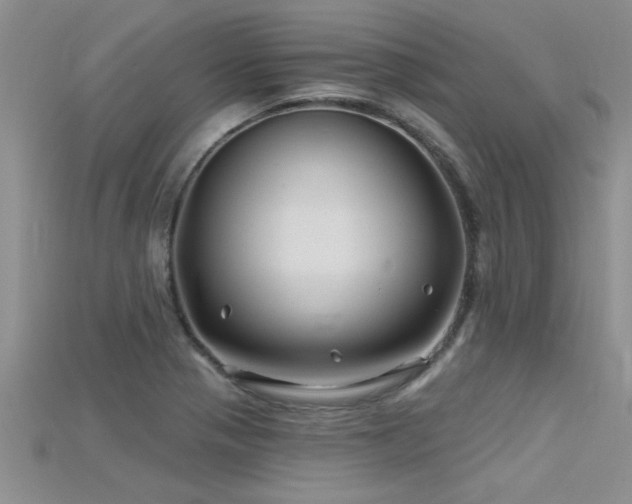 X0000115691321200911121259