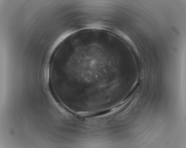 X0000115691323200911121259