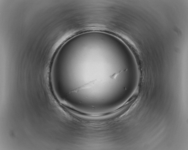 X0000115691325200911121259