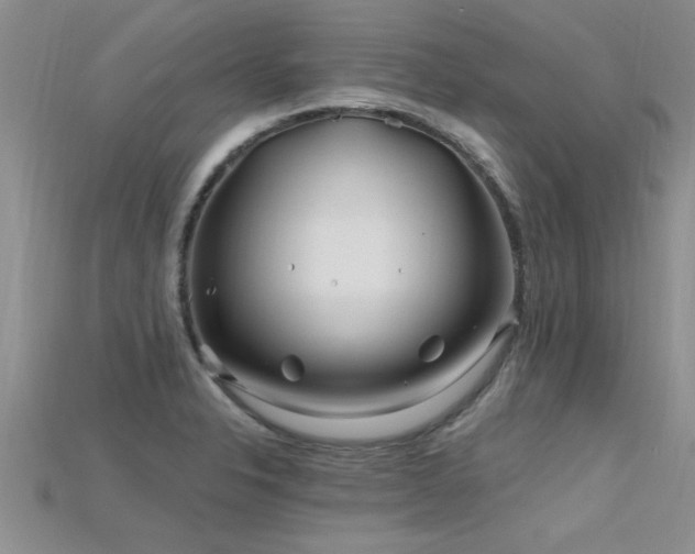 X0000115691326200911121259