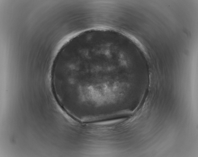 X0000115691327200911121259