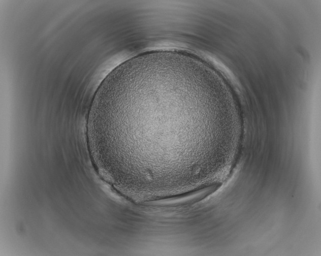 X0000115691329200911121259