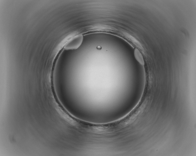 X0000115691330200911121259