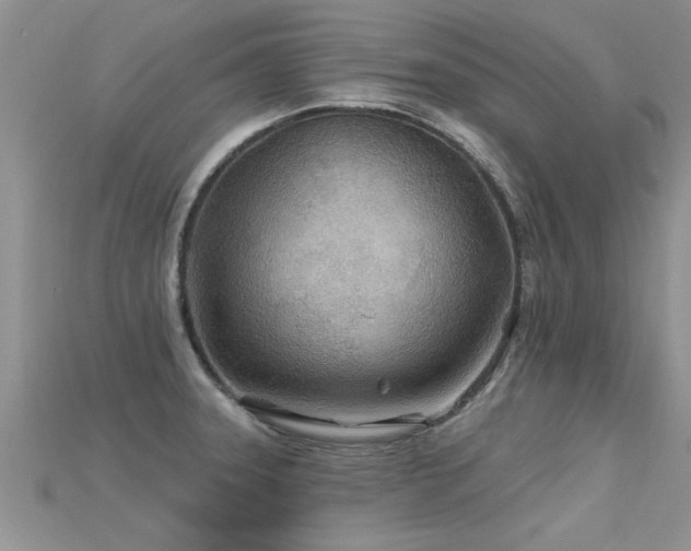 X0000115691331200911121259