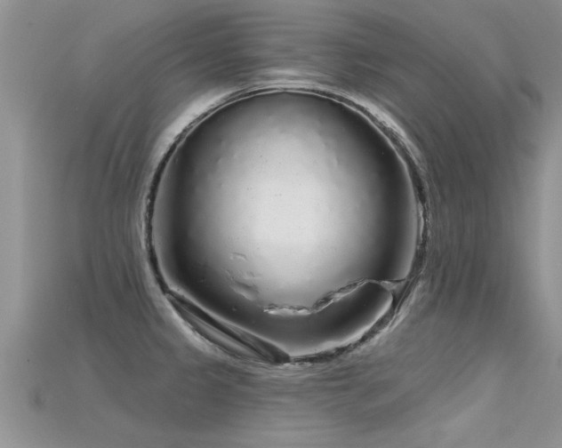 X0000115691333200911121300