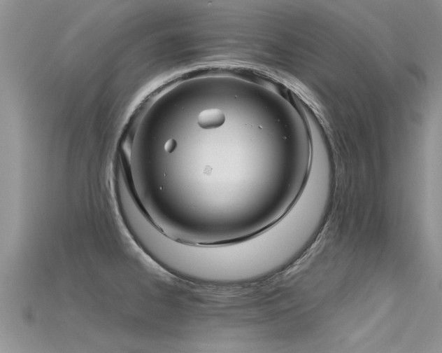 X0000115691334200911121300