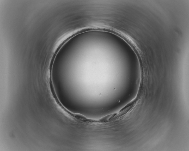 X0000115691335200911121300