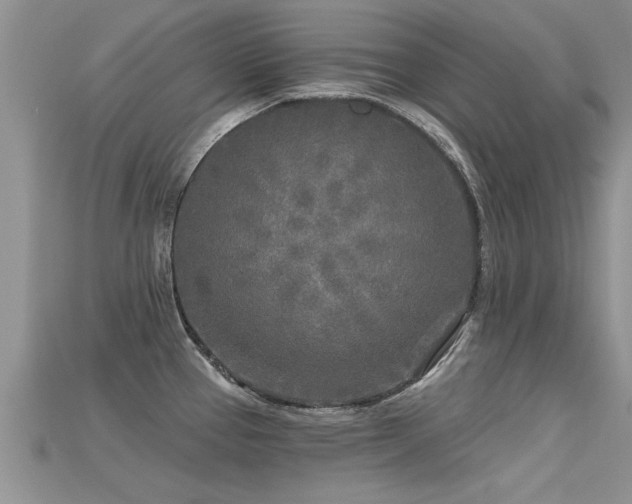 X0000115691337200911121300