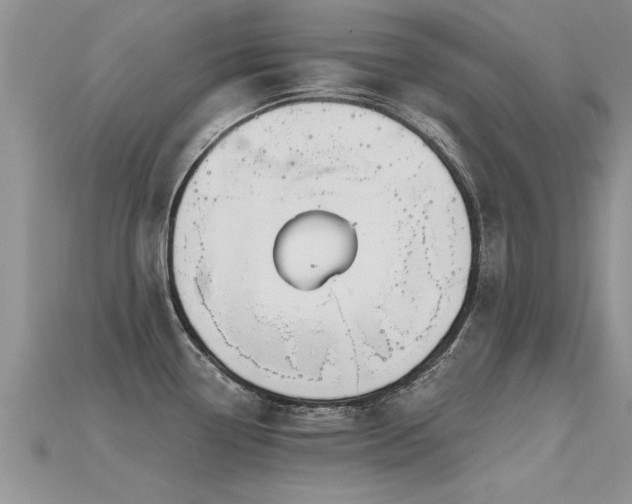 X0000115691338200911121300