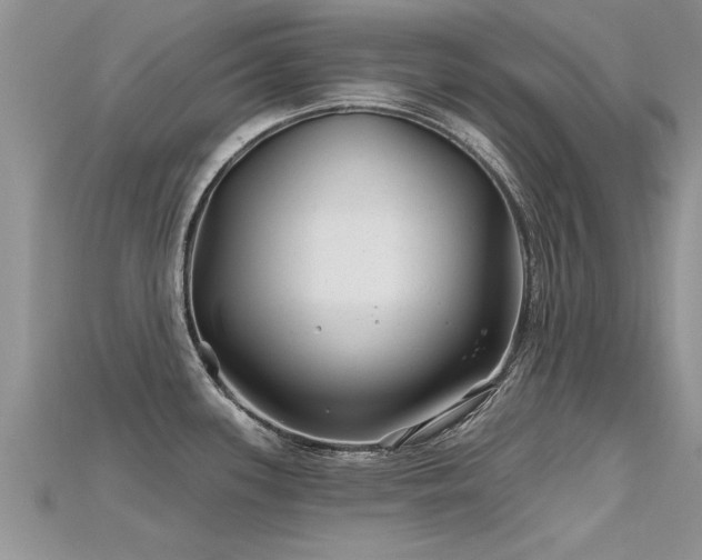 X0000115691339200911121300