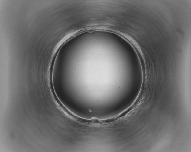 X0000115691341200911121300