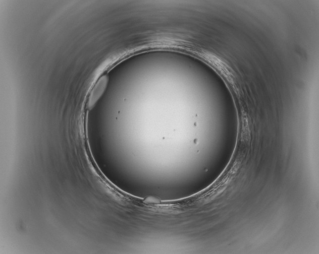 X0000115691342200911121300