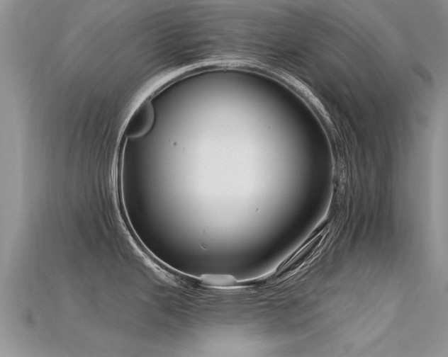 X0000115691343200911121300