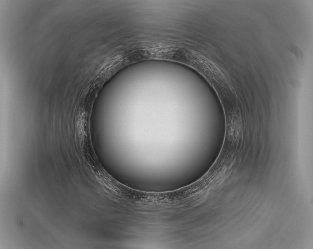 X0000115691346200911121259