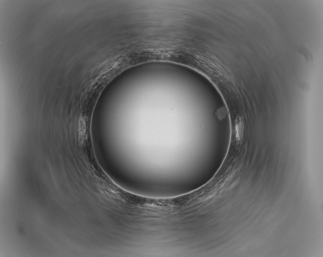 X0000115691347200911121259