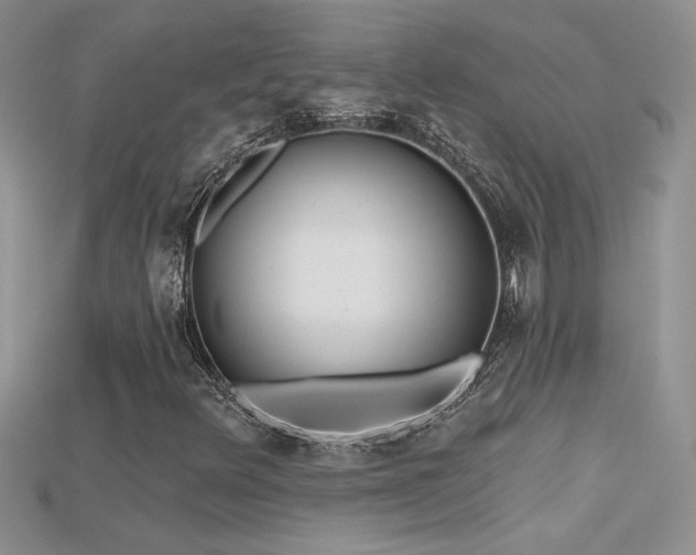 X0000115691348200911121259