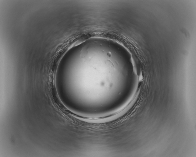 X0000115691349200911121259