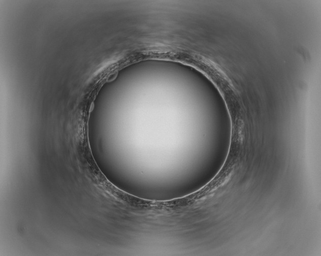 X0000115691350200911121259