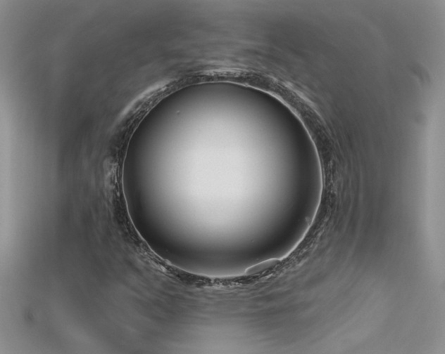 X0000115691351200911121259