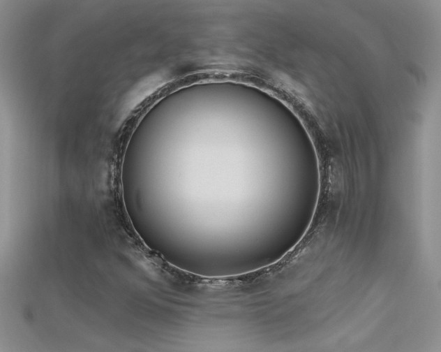 X0000115691352200911121259