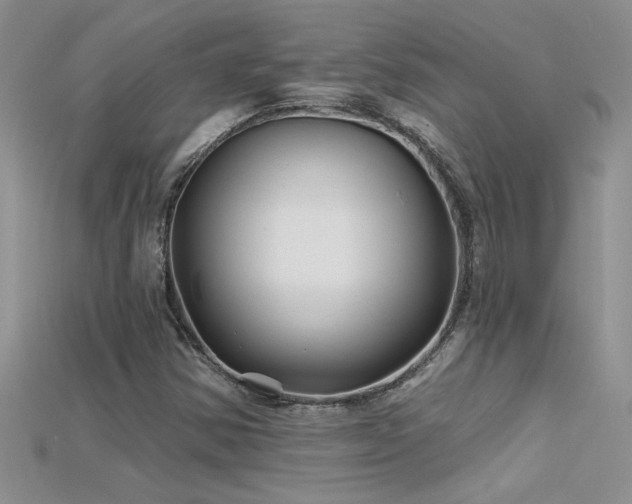 X0000115691354200911121259