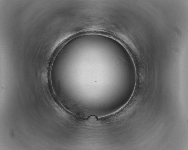 X0000115691356200911121259