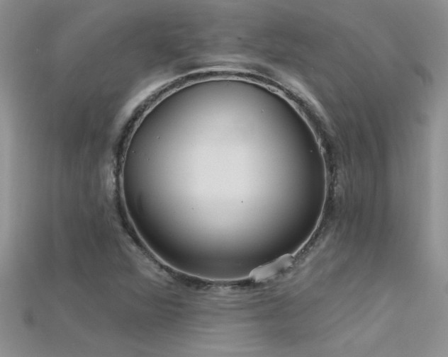 X0000115691360200911121259
