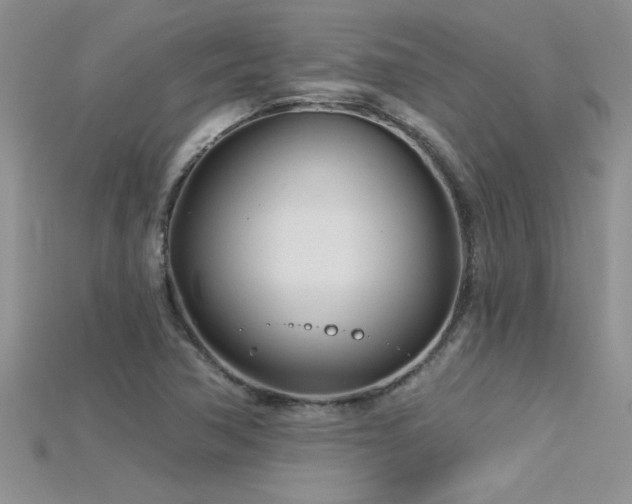 X0000115691362200911121259