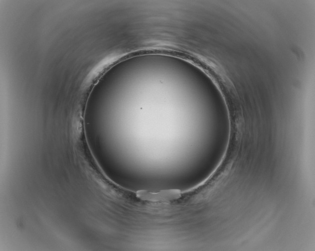 X0000115691363200911121259