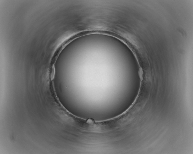 X0000115691364200911121259