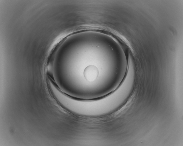 X0000115691365200911121259