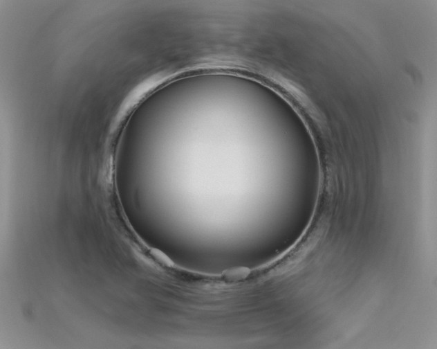 X0000115691366200911121259