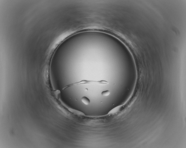 X0000115691367200911121259