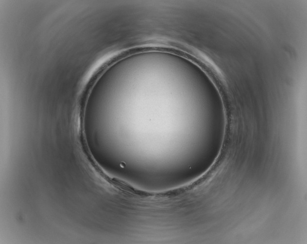 X0000115691368200911121259