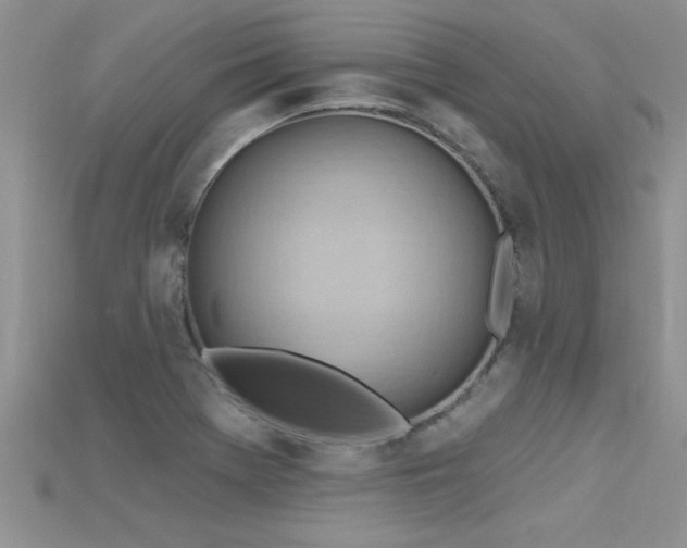 X0000115691369200911121259