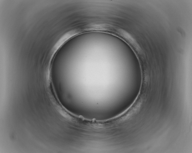 X0000115691370200911121259