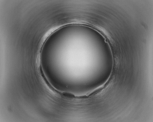 X0000115691371200911121259