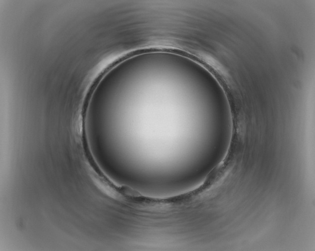 X0000115691372200911121259