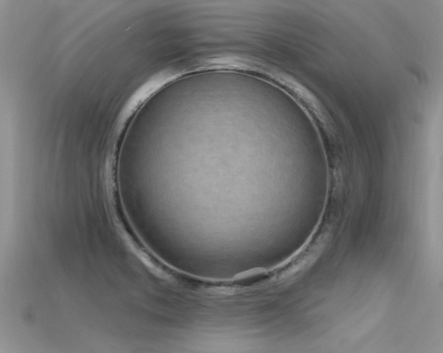 X0000115691373200911121259